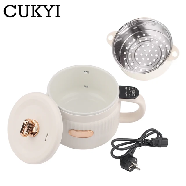Cuiseur à riz Intelligent Portable, poêle électrique, nouilles, tasse bouillante, marmite, stewer à soupe, revêtement en céramique pour dortoir voyage EUUS 1