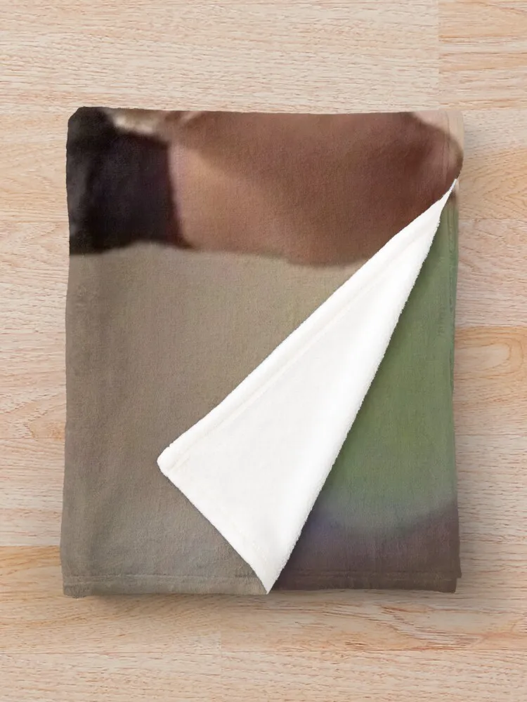 ���� ¯ ������ ���, �ö��� ���� ���, ǫ����