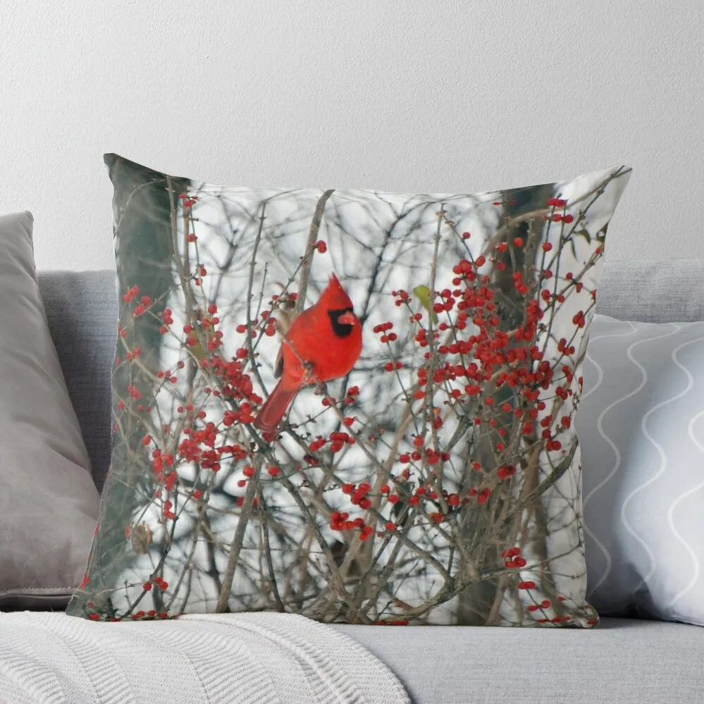 

Cardinal Throw Pillow Pillowcase Cushions For Children