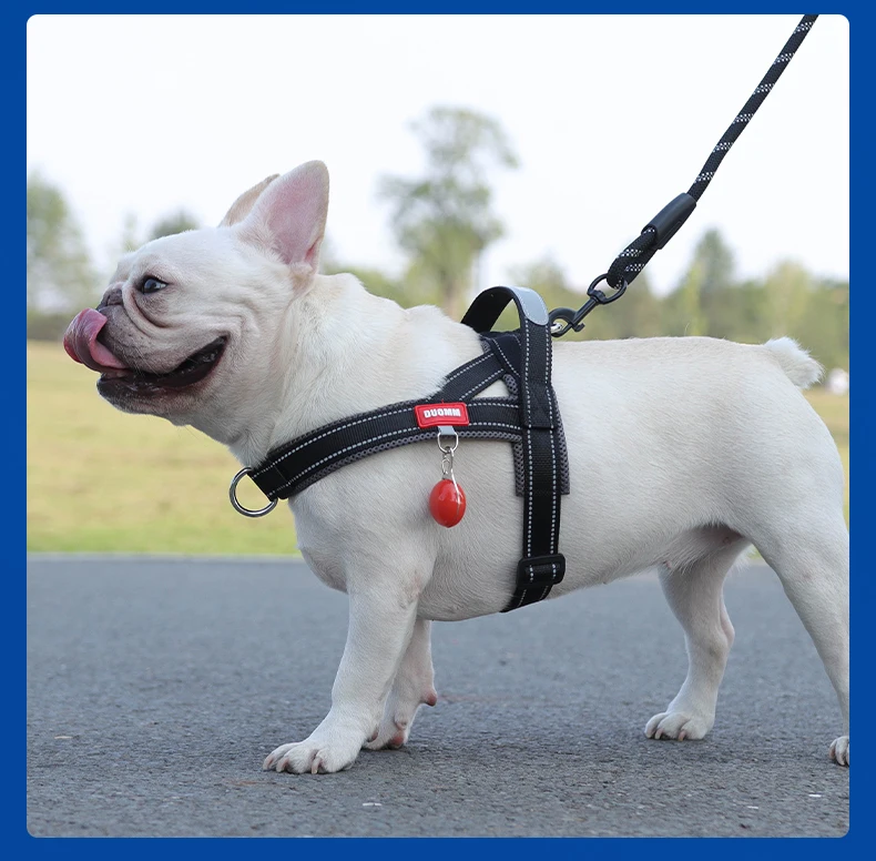 OODUDUOO Hundegeschirr, verstellbares Haustiergeschirr, Weste für kleine und mittelgroße Hunde, reflektierender Hunde-Brustgurt, französische Bulldogge – Detail 19