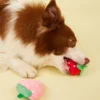 1pc Cute Strawberry Design Pet Grinding Teeth Plush Toy, Chew Toy For Dog Interactive Supply 4