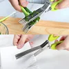 Multifunctional Multi Layers Stainless Steel Knives Kitchen Scissors 5 Blade Herb Scissors Scallion Cutter Kitchen Accessories 5