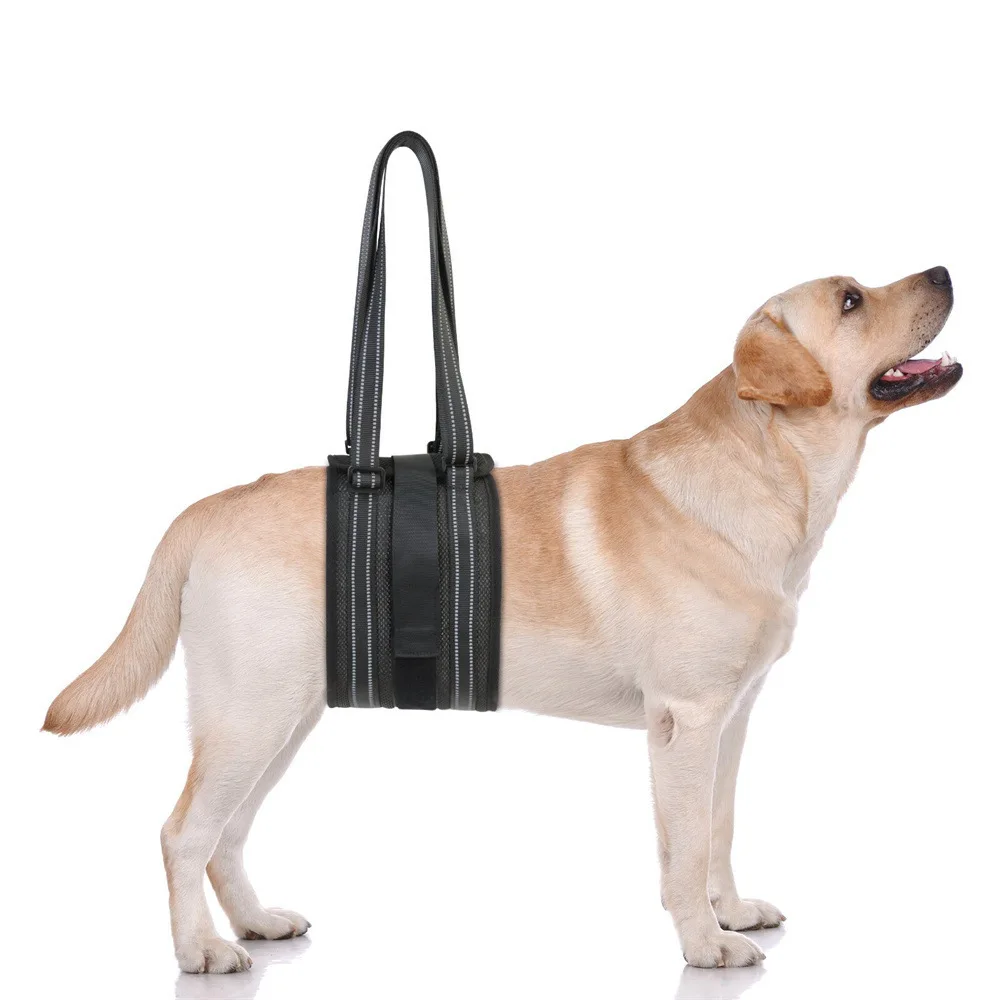 Dog Sling Dog Lift Assist Harness Provide Comfortable Support With