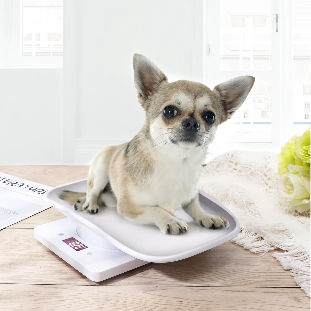 Pets Weighbridge Dog Scale Measure Tool Postal Digital Food