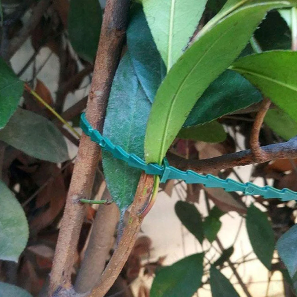 Slide image 241e16a83ffc4a608f163a980ac4d307