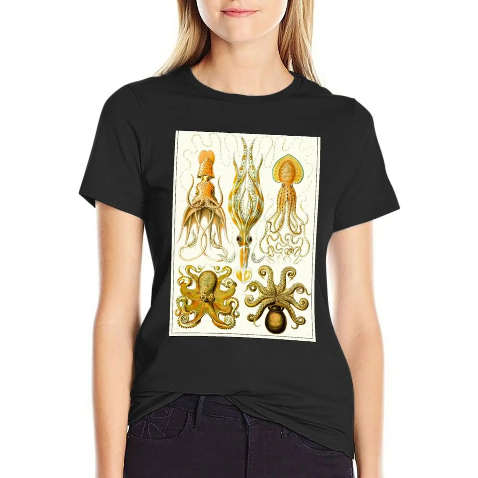 

Plate 54. Gamochonia, an old grouping of squids and octopods. T-Shirt oversized tops Short sleeve tee white t shirts for Women