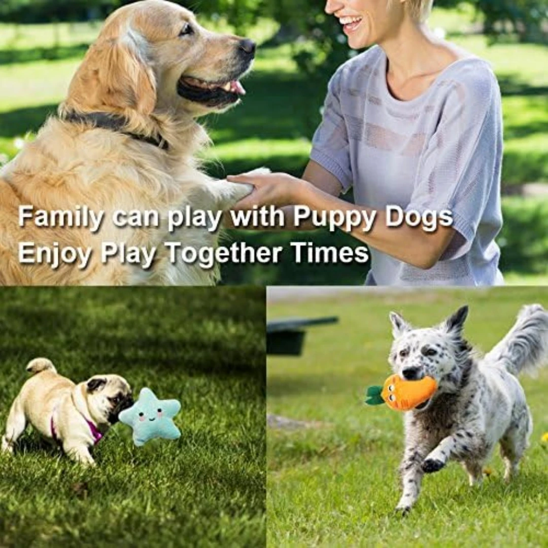 9-piece set of squeaking puppy toys, cute multi-color design, can bite at any time, suitable for small dogs 4