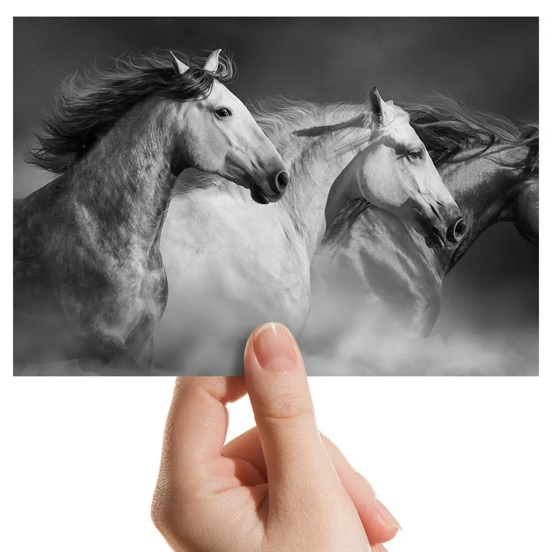

Beautiful Wild Horses Animals Print Art Canvas Poster For Living Room Decor Home Wall Picture