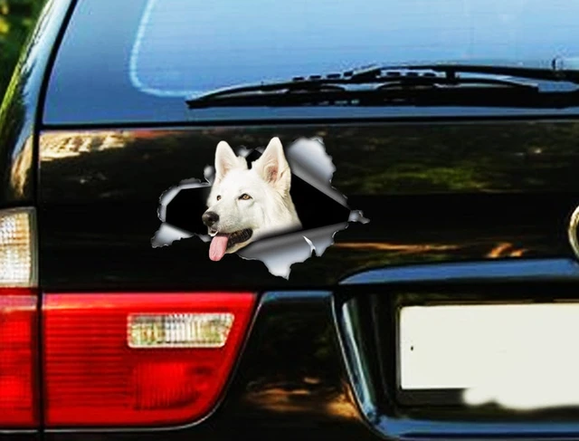 Adesivo Para Carro Meu melhor amigo é um pastor inglês preto & branco