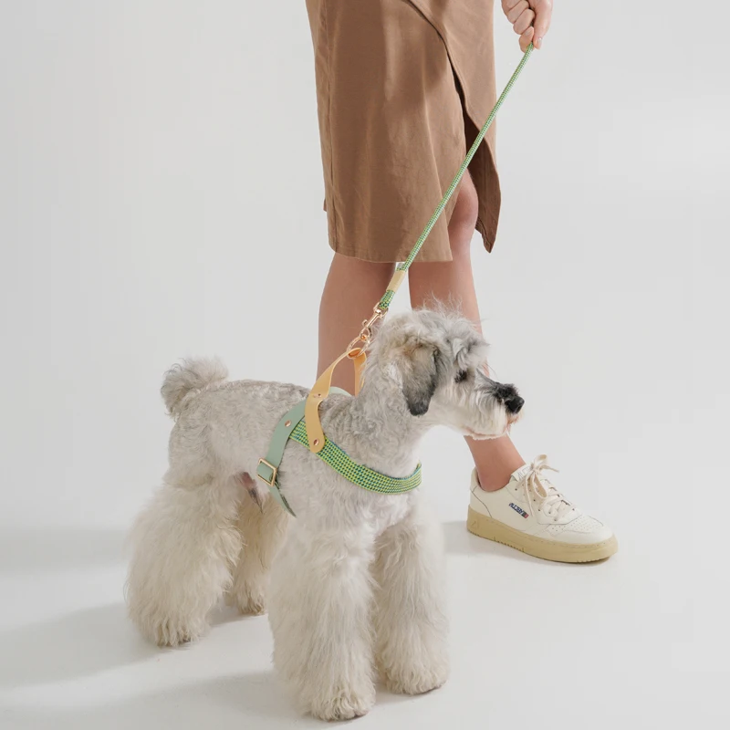 Dog walking Simple Style Harness Pet Supplies Fashionable Black & White Striped Chest Harnesses And Leashes Set For Running Dog for pet harness leash set,pet harness set