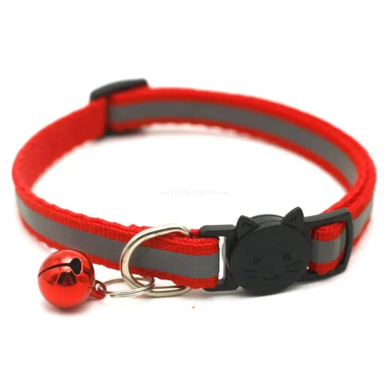 How Do You Deodorize A Dog Collar