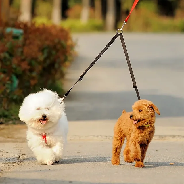 Outdoor Walking Two Dogs Leash Coupler Double Twin Lead Walking Leashes Dog Harness Dog Accessories Supplies 2