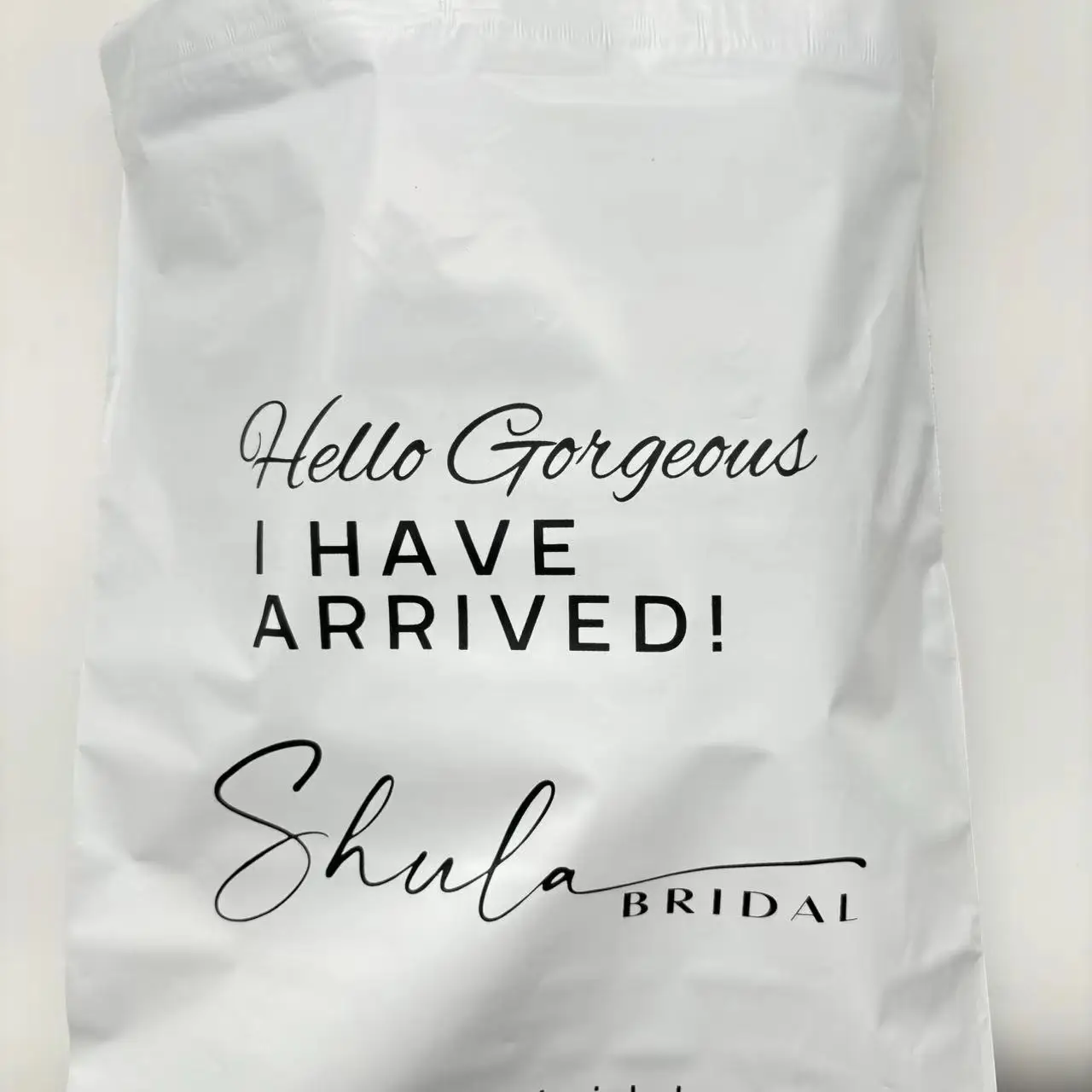 Рисунок 2 - Белая почтовая сумка с логотипом