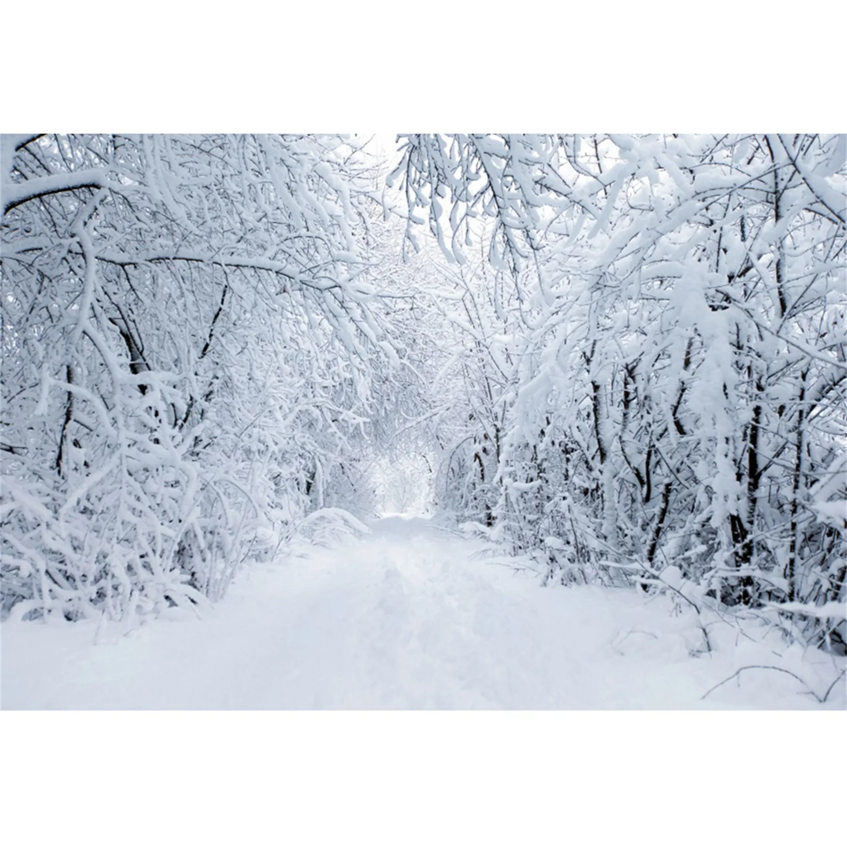 thumbnail image 1 of Fondos fotográficos con escena de nieve y árboles en el bosque invernal de Yeele para sesión fotográfica, decoración, fondos fotográficos para estudio fotográfico, 1 of 5
