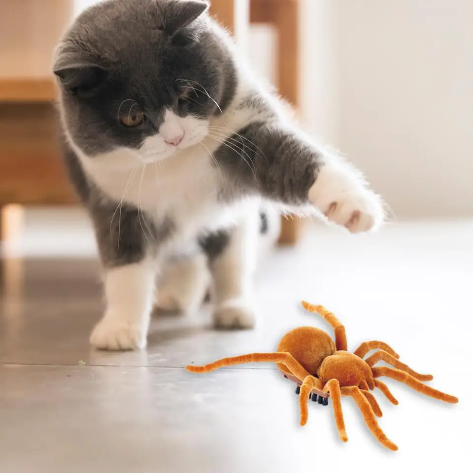 Spider Plush Electric Moving Cockroach Toy – Vibrating Battery-Powered Cat  Toy & Prank Spider For Pets & Kids Moving Spider Toy For Cats