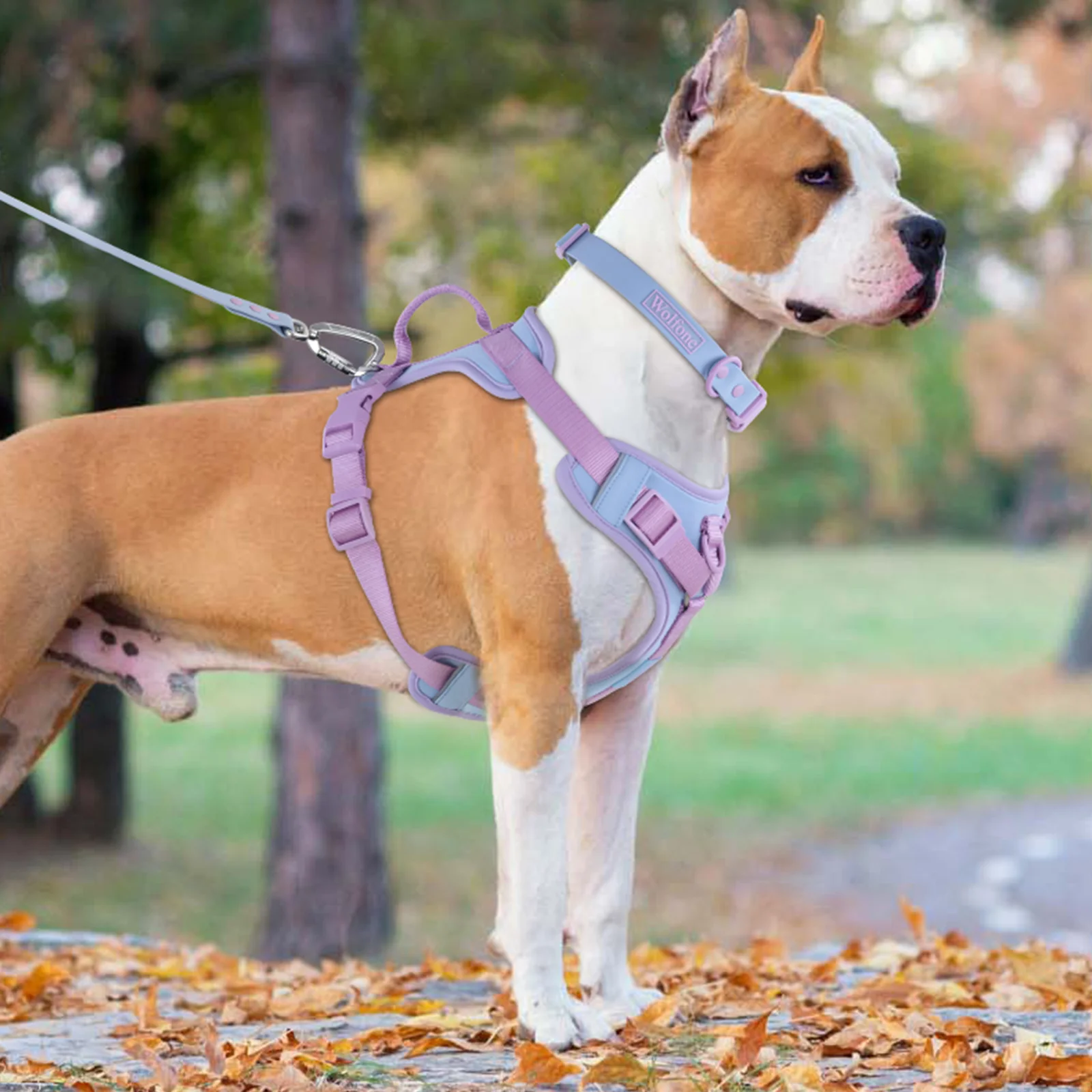 

No Pull Dog Harness And Leash Set For Medium Small Adjustable Chest Strap Dog Leash And Collar Set personalized