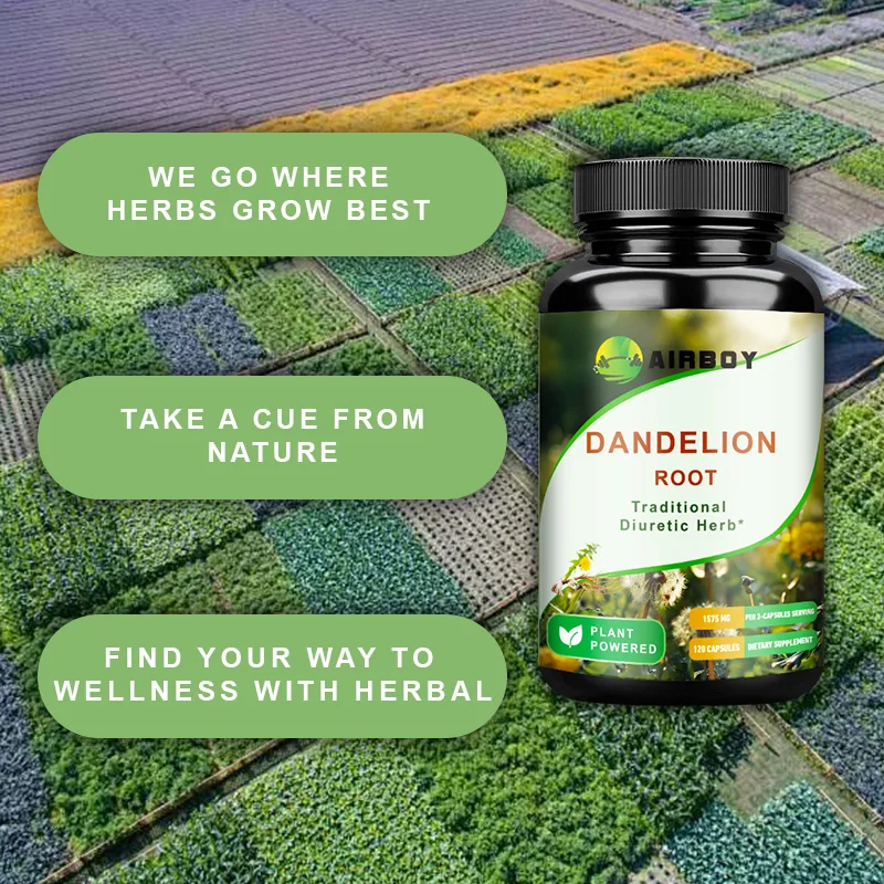 Dandelion Root-Diuretic Supports Liver Detoxification and Cleanses Antioxidant