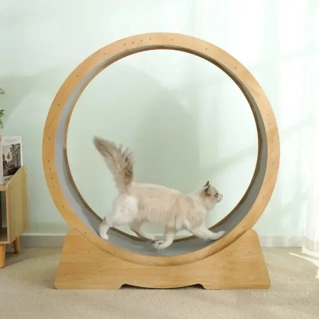 Solid Wood Sports Running Wheel Pet Fitness Cat Wheel Toy Cat Treadmill
