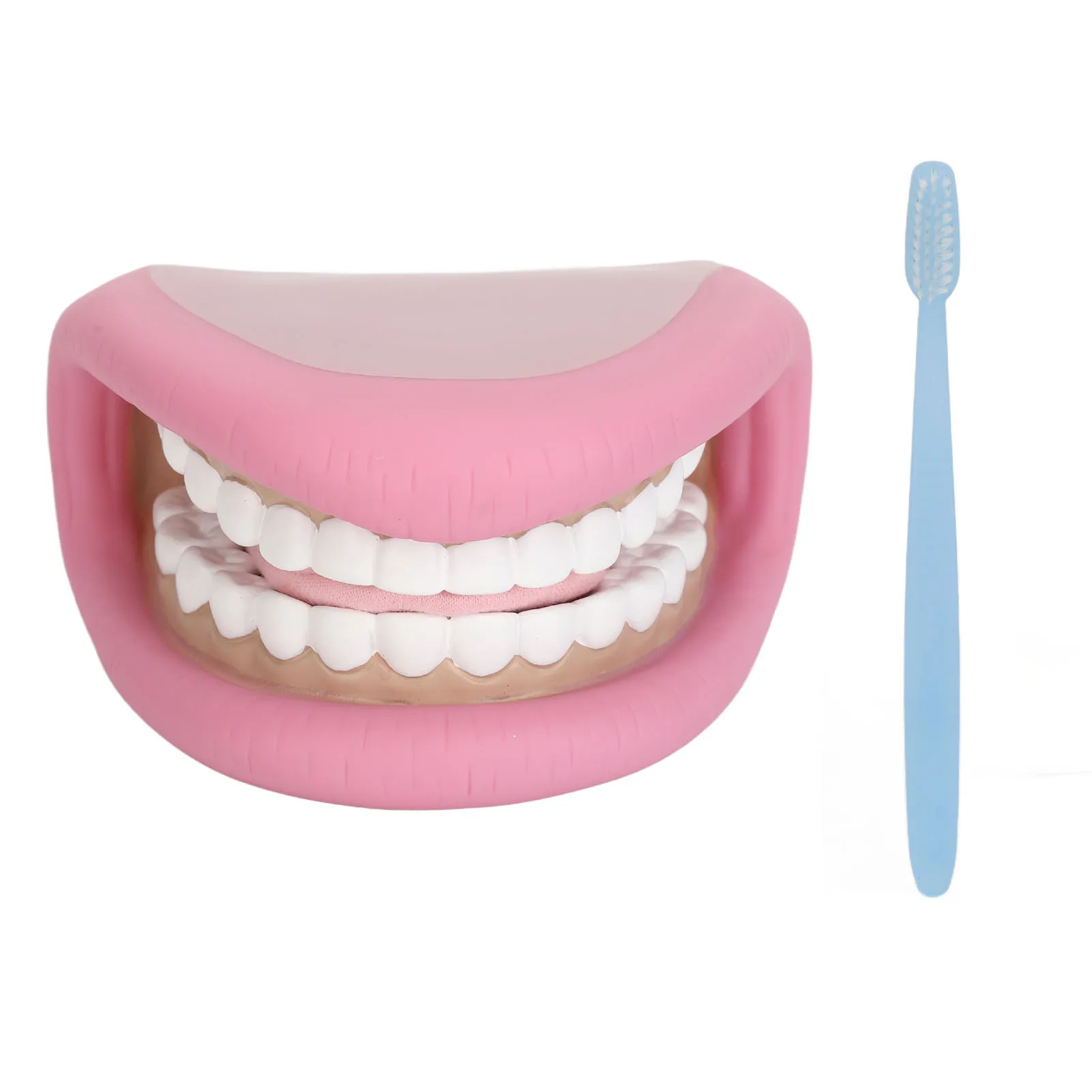 

Kids Mouth Hand Puppet 28 Teeth Mouth Puppet Language Development Repeatedly Open Upper Lower Jaw Flexible for Brushing Teeth