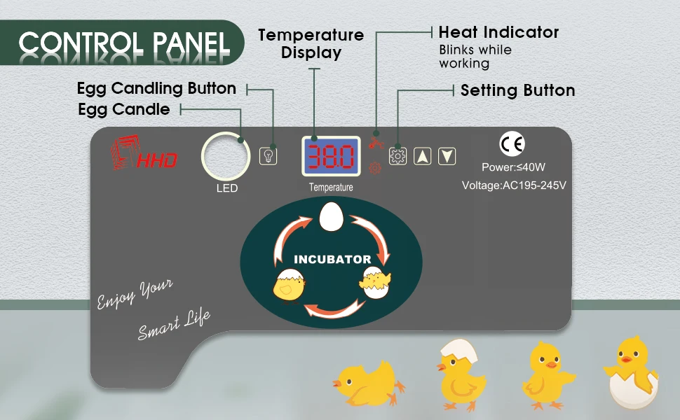 incubator interior tray