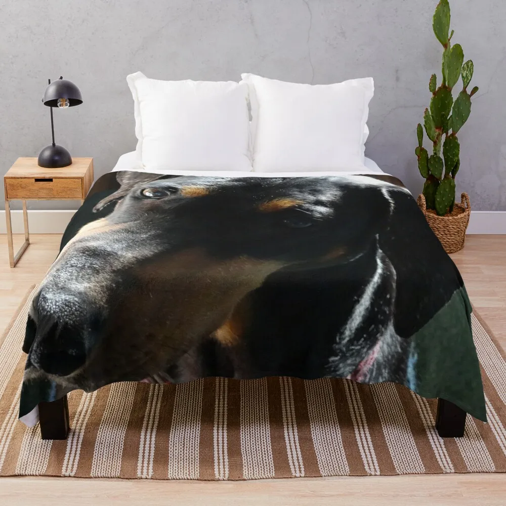 

Doberman Tilt Throw Blanket Large Blanket Blankets For Baby