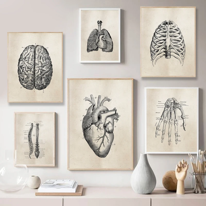 p-steres-vintage-de-anatom-a-m-dica-humana-impresiones-art-sticas-en