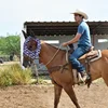 Top Quality Fly Mask For Horses, Breathable Summer Protection With Blue Star Flag Design 4