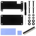 Black Pin