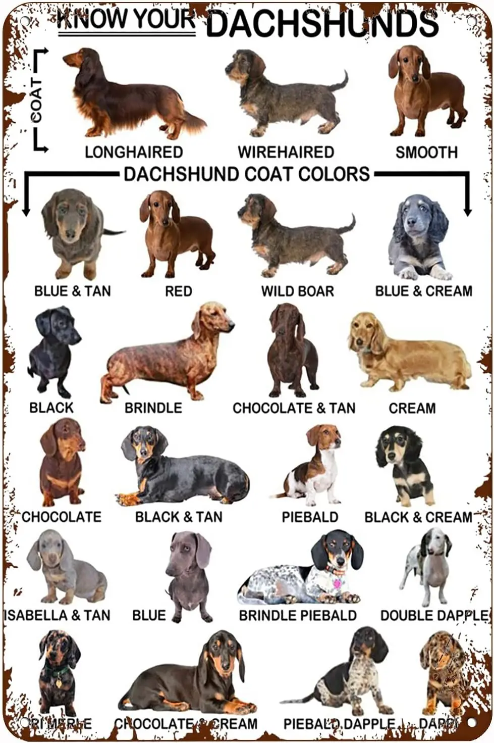 

Винтажный металлический жестяной знак, декор Dachshunds декор для стен в винтажном стиле, винтажное украшение для дома, бара, кухни, дома, кафе, Знак 12x16 дюймов, табличка