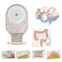 10Pcs Colostomy Bags Disposable Adhesive One Piece Drainable Ostomy Pouch Supplies for Ileostomy One Piece Colostomy Bags 1