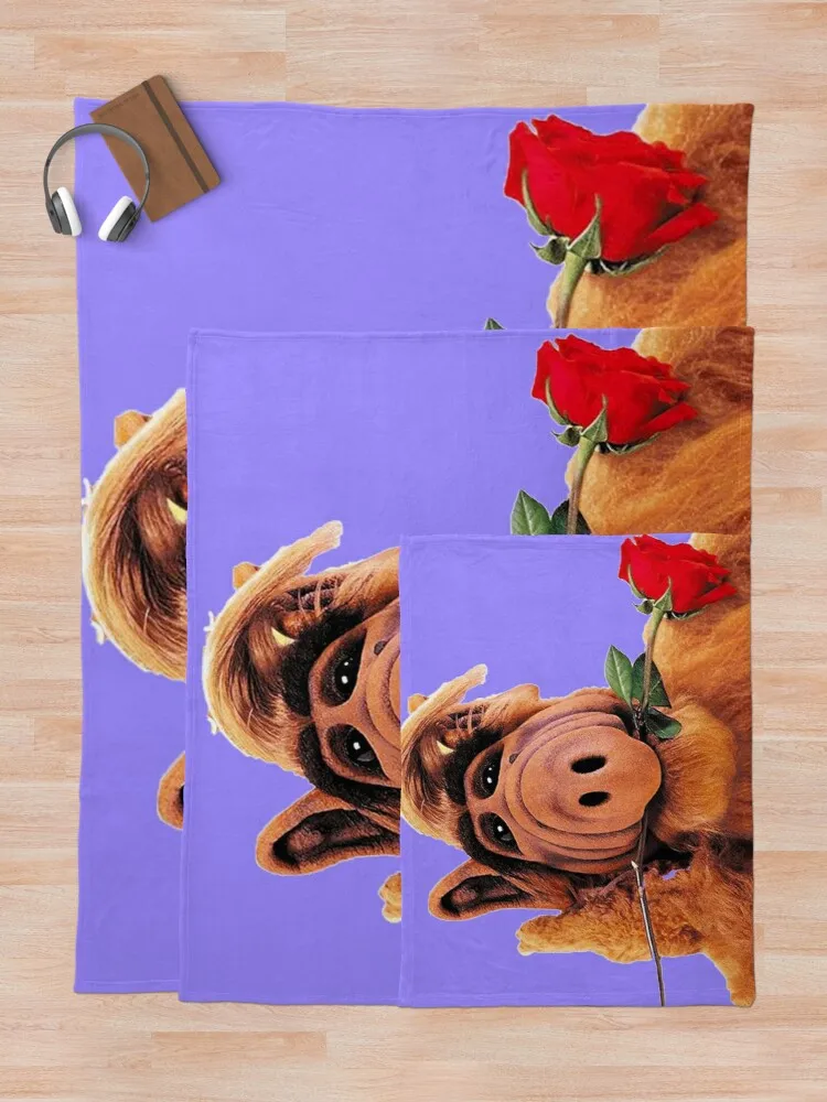 Cf ������ ��� Flannels ���� ����� �� �ε巯�� �÷��� ���� ���� �ڼ� ���