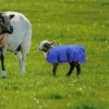 Winter Warm Calf Vest Thickened Coat Waterproof Ranch Jacket Cow Baby Clothes Pasture Supplies Horse Riding Products 4