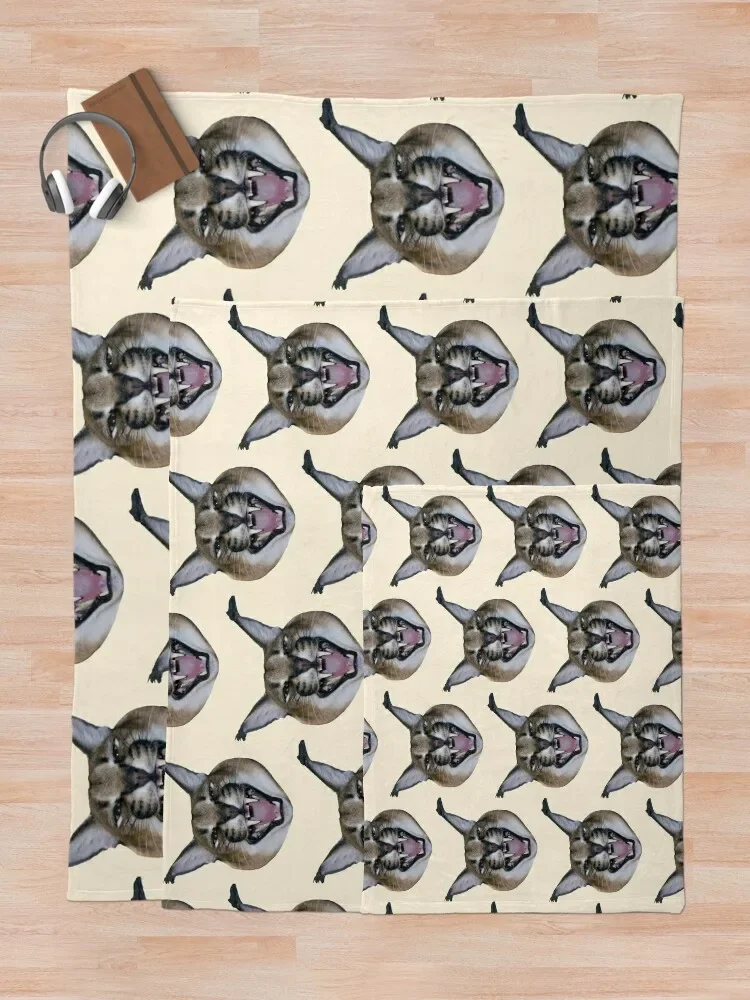 Big Floppa ȭ�� ������ ���, ������ �ܿ� ���, ����Ʈ �ҷ��� ���