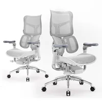 SIHOO Doro S300 Ergonomic Office Chair Computer Chair with Dual Lumbar Support 6D Armrests Adjustable Rolling Mesh Gaming Chair 1