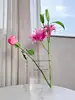 Clear Book Shaped Vase Clear Acrylic Vase Cultural Flavor Decor Acrylic Vase Clear Flower Arrangement Vase Modern Home Decor 2