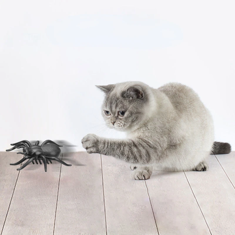전기 곤충 고양이 장난감, 고양이 탈출 장애물 자동 플립 장난감, 배터리 작동 진동 애완 동물 딱정벌레 놀이 장난감, 미니 로봇 버그