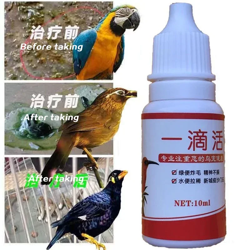 Pigeon parrot bird lifesaving conditioning fluid Diarrhea Green stool Salmonella Newcastle disease mental depression