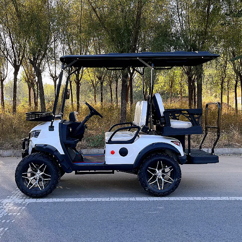 

2024 New Lithium Battery Electric Golf Cart 4 Seats 48/72V 5000W AC Motor Solar Electric Four Wheel Golf Cart with Folding Seats