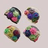 Spring and Summer New Style Literary and Artistic Colorful Flowers Hollow Baotou Cap Female Sweet Fashion Knitting Wool Cap Melo 1