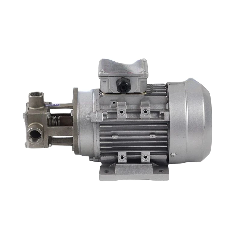 

Flexible Pump Stainless Steel Rotor Self-priming Pump Volume Flexible Impeller Gear Screw Oil Pump