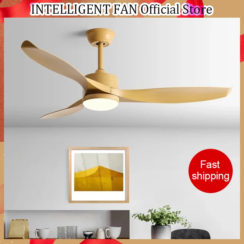 

52Inch Black Ceiling Fan Light DC Remote Control ABS Blade Restaurant Living Room Household Fan Lighting Ceiling Fan 110V 220V