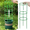 3/6/9/12Sets Plant Support Pile Stand Flowers Plant Arrangement Fixing Rod Plants Stake for Garden Supplies Home Yard Planting 2