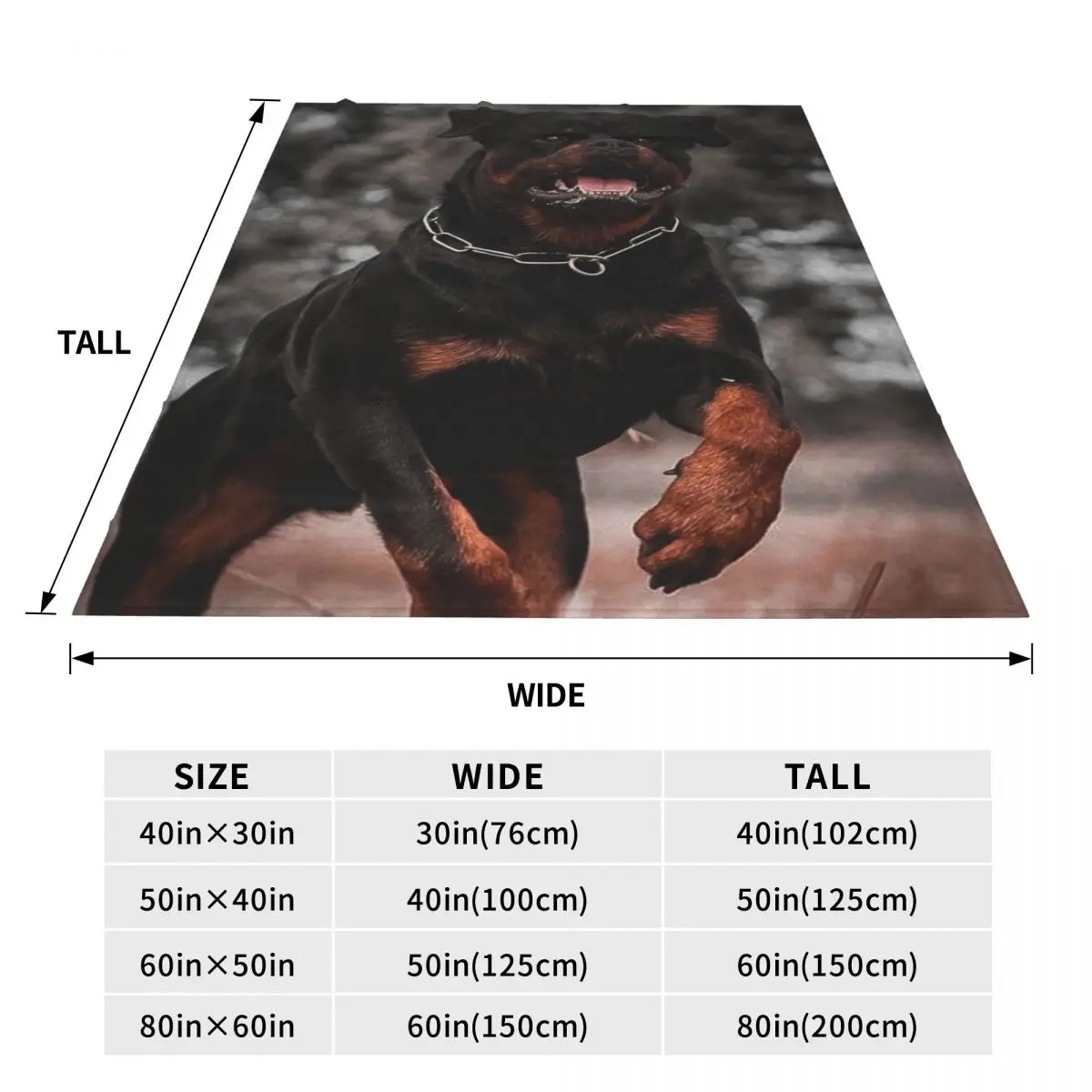 ���� �ָ� �� �ö��� ���, �ֿ� ���� ������ �ε巯�� ħ�� ������, ���� ���� ���� ħ�� ���� ħ�뺸 ���� ħ�� Ŀ��