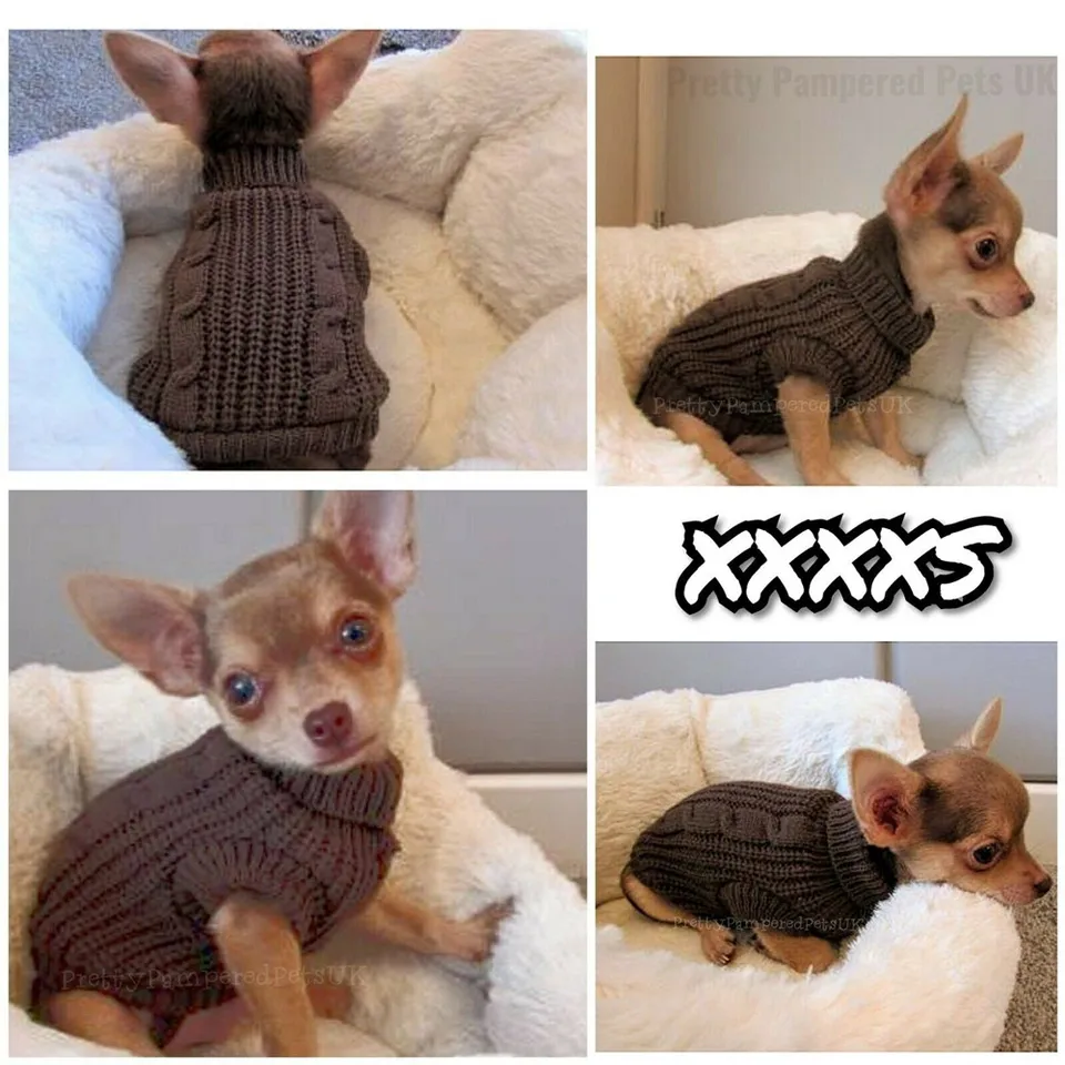Petit pull Chihuahua, tasse à thé, petit jouet, manteau pour chiot, mini  race, XXXS, XXS, XS - AliExpress, image size:960x960