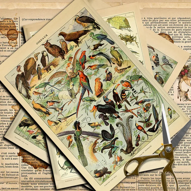 Insect Stickers 4