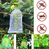 50/100pcs Grape Protection Bag Grow Bag Mesh Fruit Pest Control Products Breathable Gauze Strawberry Seedling Bags Organza 1