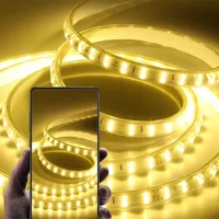 Bande lumineuse Led 220V, 1-30m, avec prise ue 2835, Flexible, étanche, pour la maison, la cuisine, l'extérieur, décoration de jardin 3