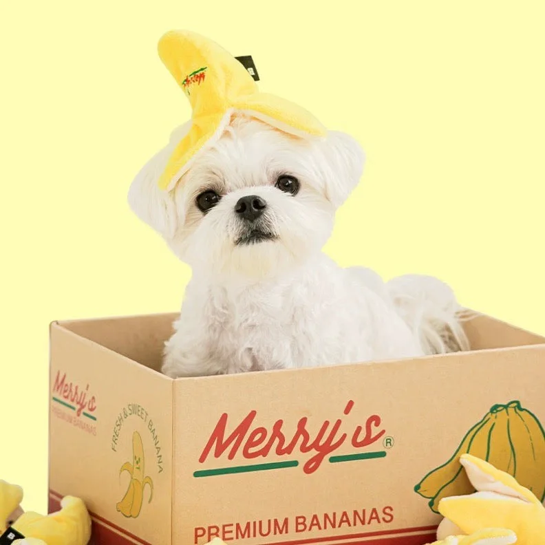 Jouet en peluche durable pour chien en forme de banane