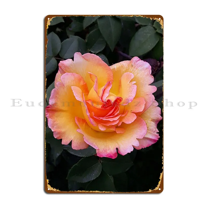

Perfect Rose Metal Sign Bar Club Club Personalized Cinema Tin Sign Poster