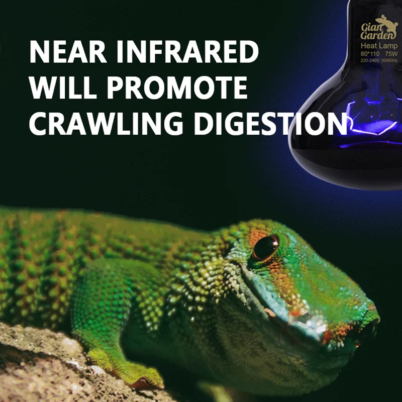 Infrared Heating Lamp Reptile Night Heating Light 25W-100W Simulated Moonlight Lamp Bulb Amphibians Pets Lives Stock
